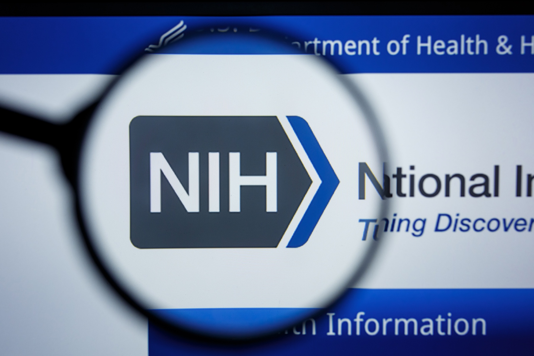 NIH Website Screenshot National Institute of Health